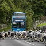 Sunnycroft Semesterbostad Keswick (Cumbria)